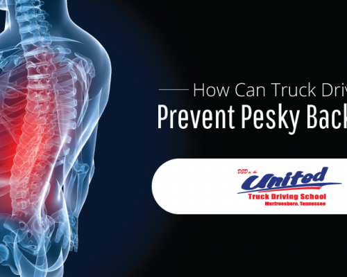 How Can Truck Drivers Prevent Pesky Back Pain?